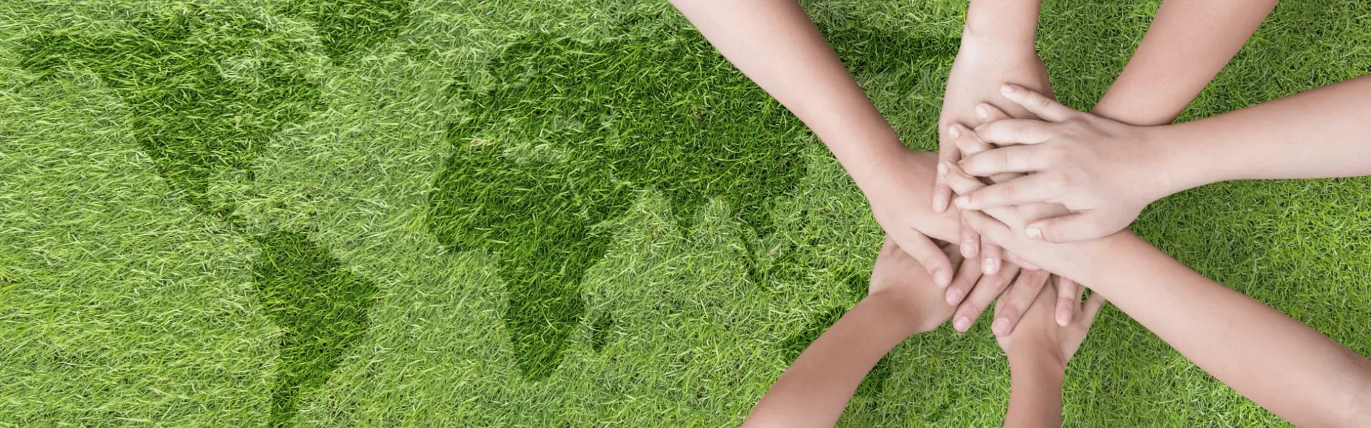 Sustainability